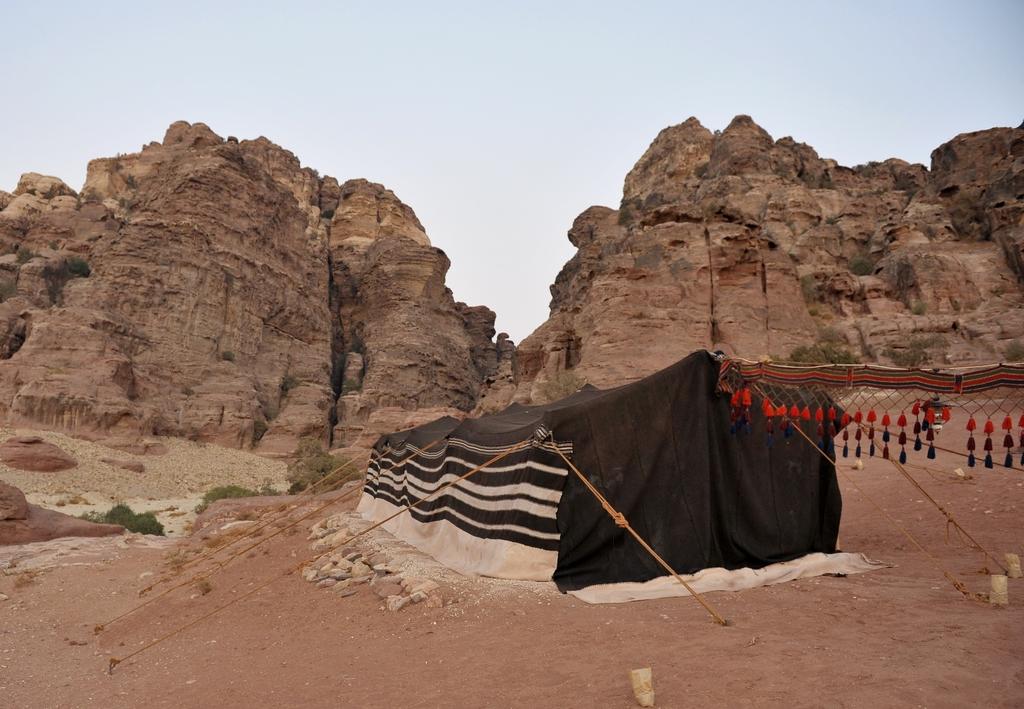 Горящие туры в отель The Rock Camp Petra Петра