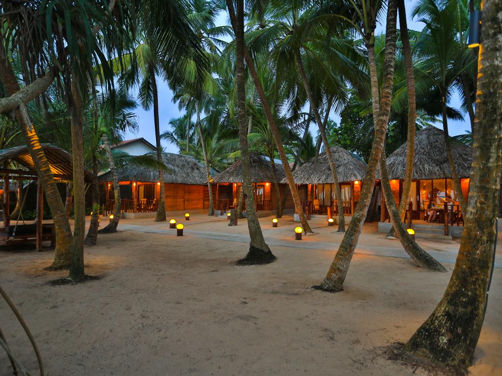 Отдых в отеле Thejan Beach Cabanas Индурува Шри-Ланка
