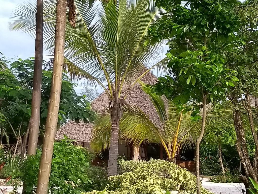 Фото готелю Marafiki Bungalows Zanzibar