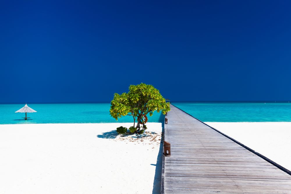 Відгуки про відпочинок у готелі, Ifuru Island Maldives