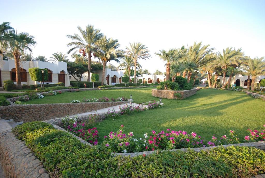 Tours to the hotel Zya Regina Resort and Aquapark Hurghada Egypt