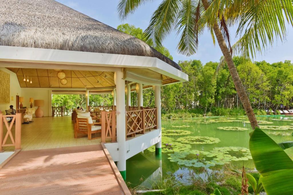 Отель, Мальдивы, Баа Атолл, Dreamland Resort and Spa