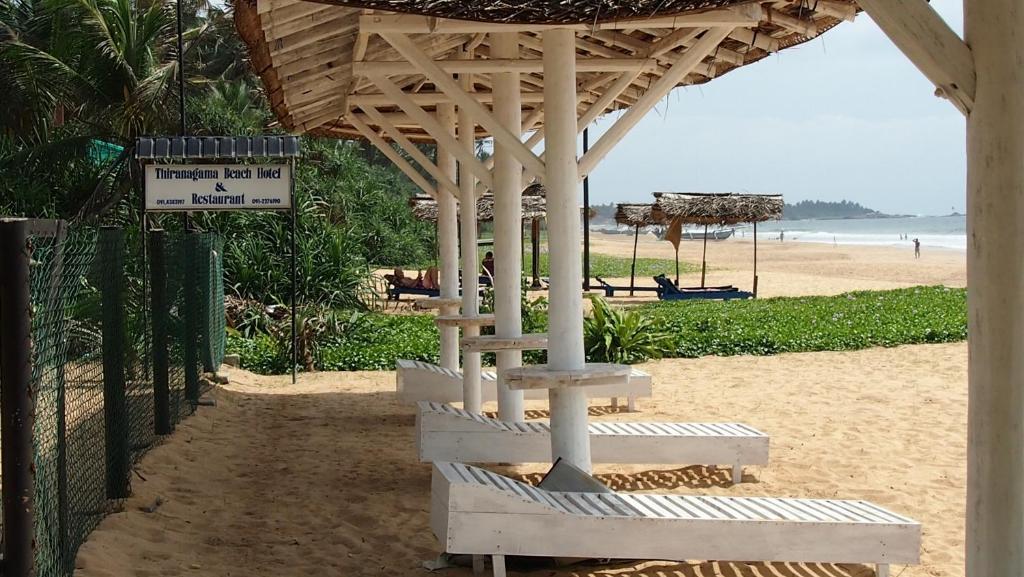 Thiranagama Beach Hotel, Шри-Ланка, Хиккадува, туры, фото и отзывы