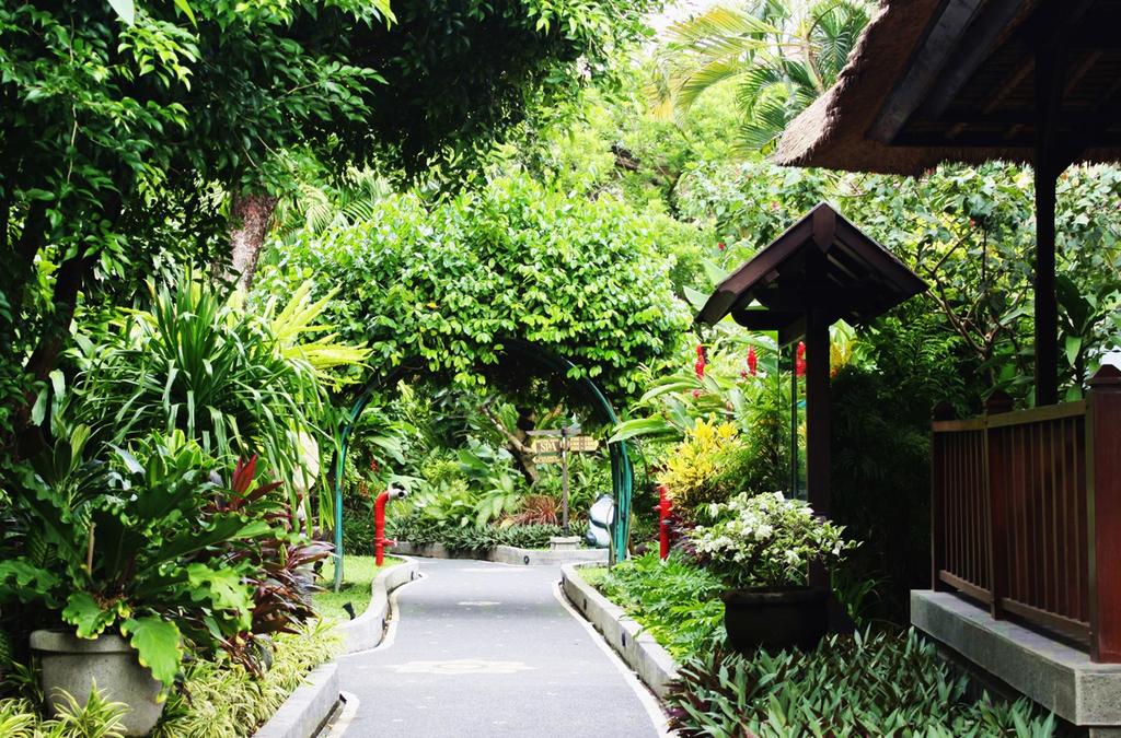 Тури в готель Risata Bali
