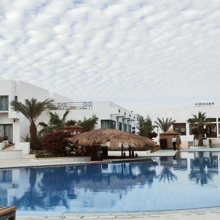 Badawia Resort, Szarm el-Szejk ceny