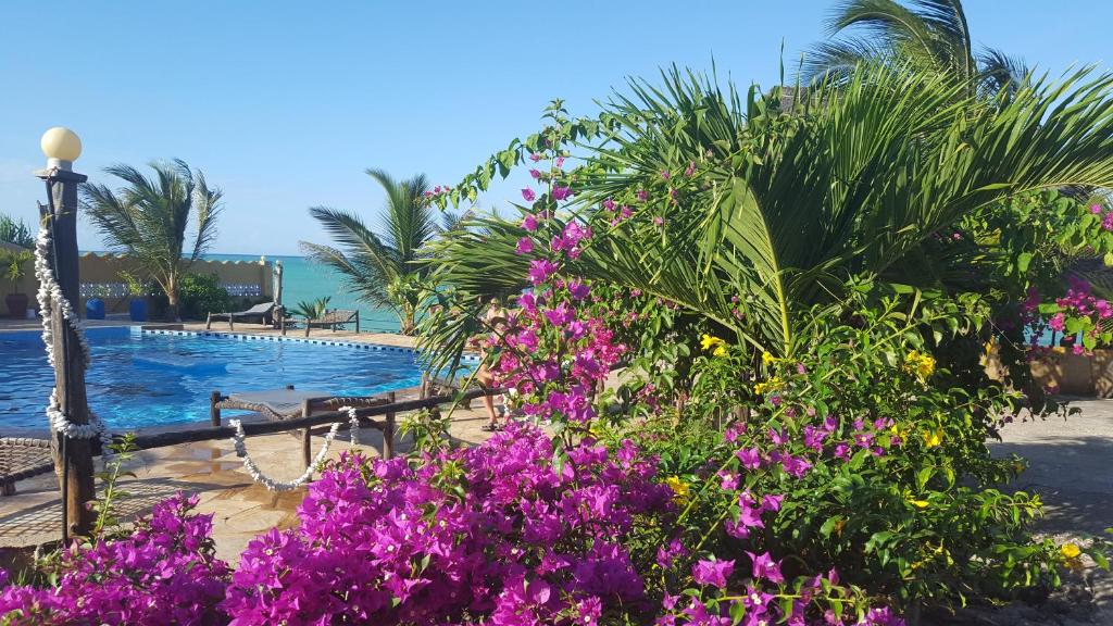 Горящие туры в отель Queen Of Sheba Beach Lodge Занзибар (остров)