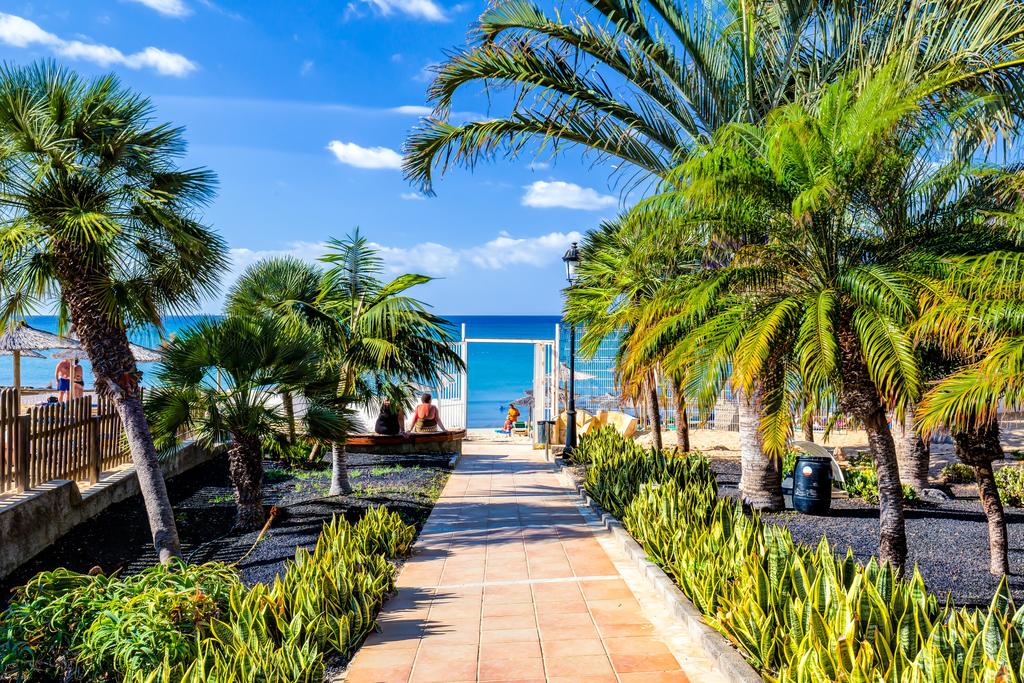 Горящие туры в отель Sbh Costa Calma Beach Resort Фуэртевентура (остров) Испания