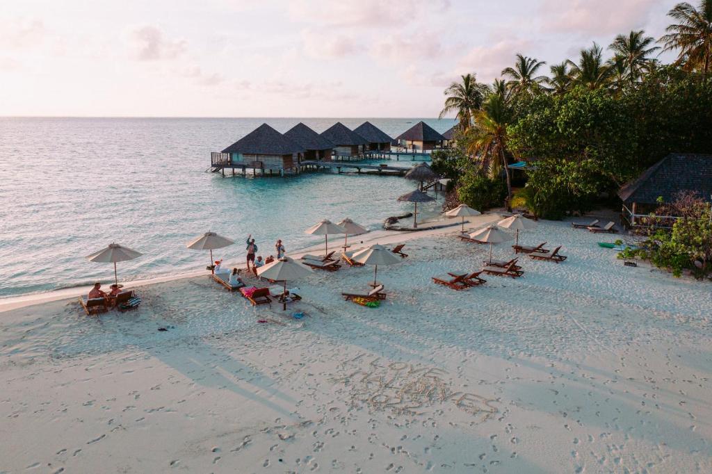 Malediwy Gangehi Island Resort