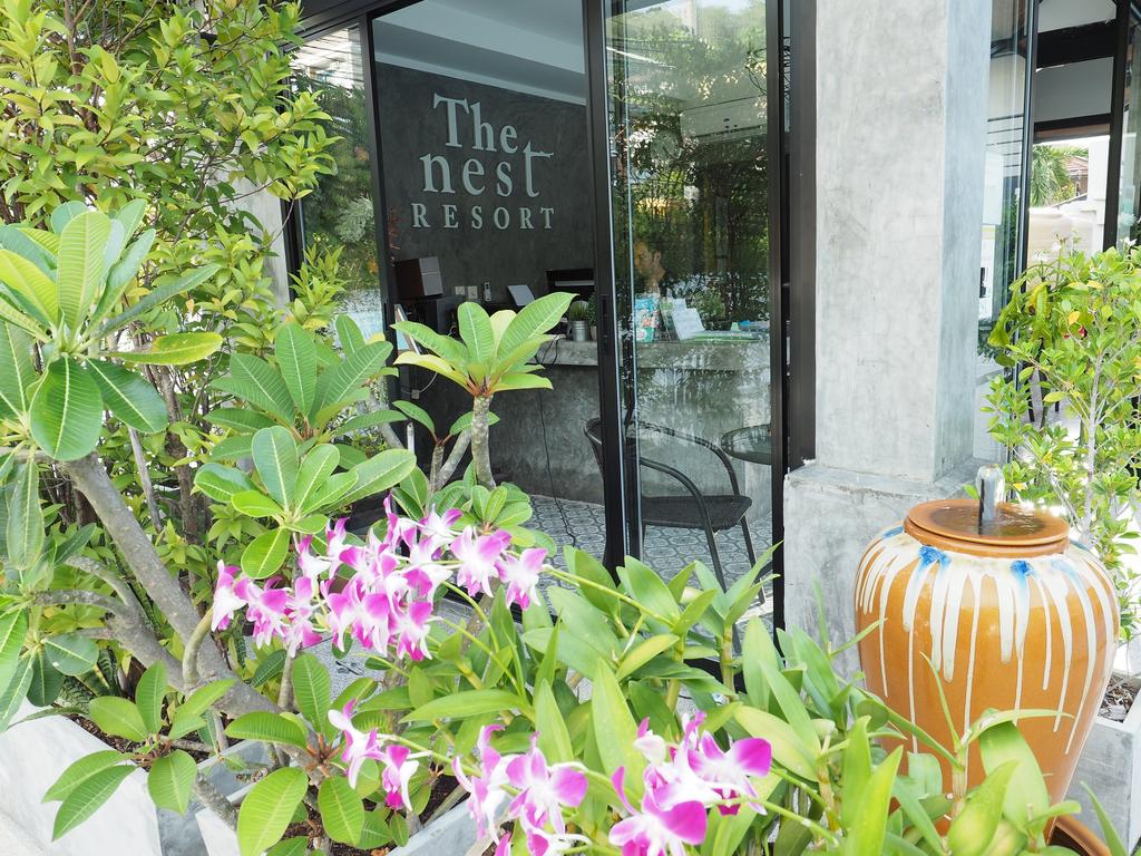 Отдых в отеле The Nest Resort Патонг Таиланд