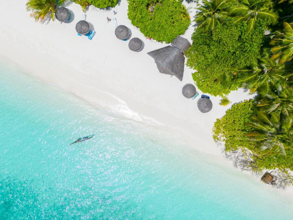 Fihalhohi Tourist Resort, Южный Мале Атолл, Мальдивы, фотографии туров