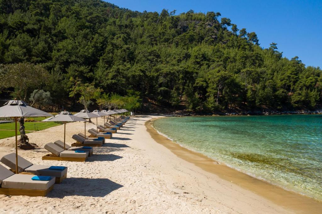 Vathi Cove Luxury Resort & Spa Греция цены