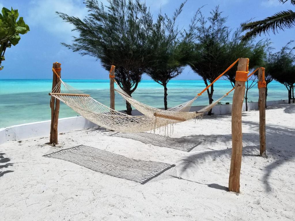 Oferty hotelowe last minute Reef & Beach Resort Jambiani Tanzania