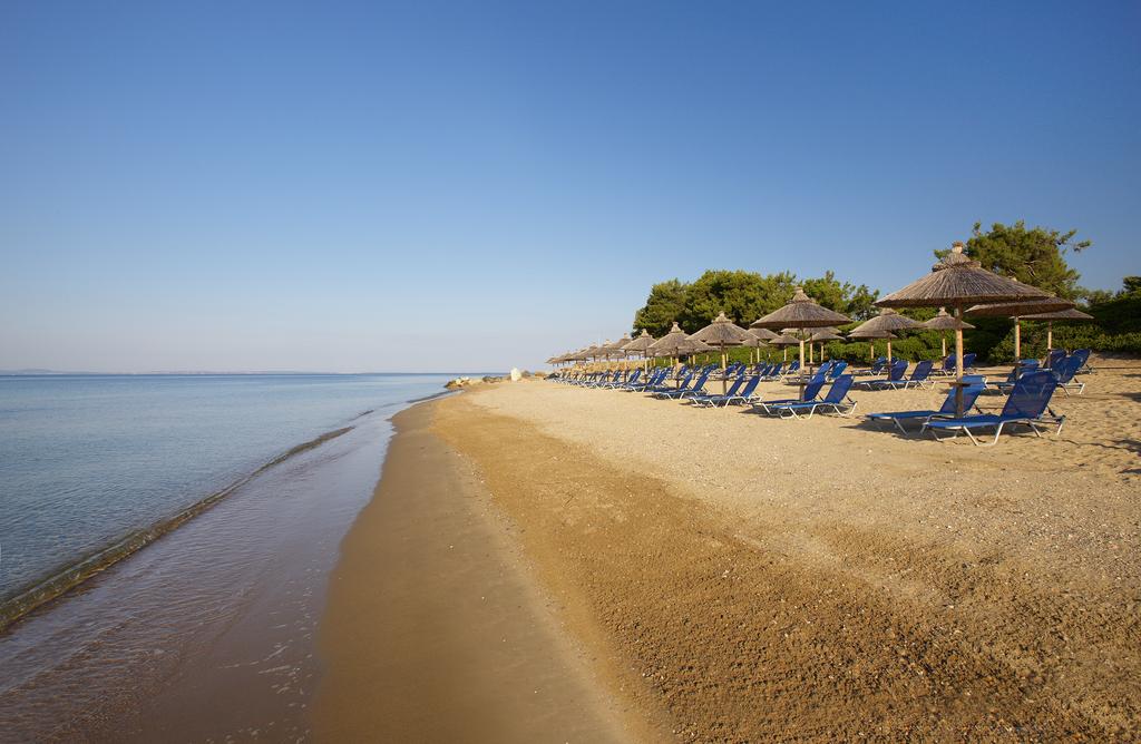 Tours to the hotel Blue Dolphin Hotel Sithonia