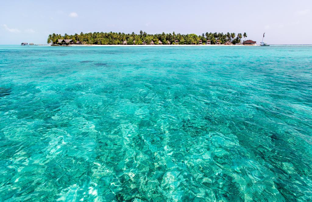 Palm Beach Resort & Spa Maldives Мальдивы цены