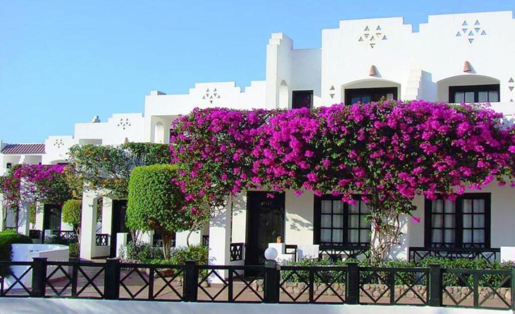 Verginia Sharm Resort & Aqua Park, Шарм-ель-Шейх
