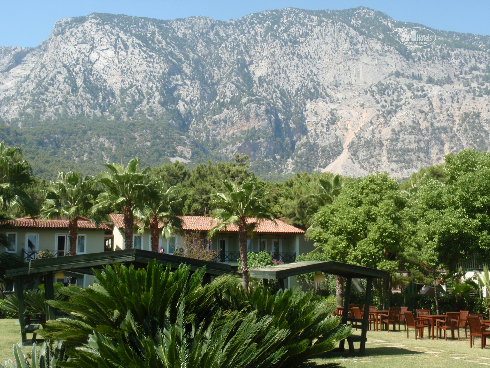 Tours to the hotel Comfort Flora Grand Kemer Turkey