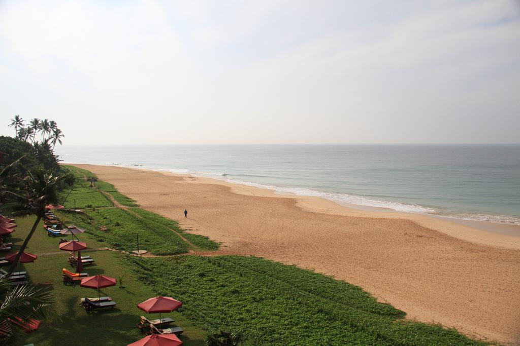 The Long Beach Resort, Коггала, Шри-Ланка, фотографии туров