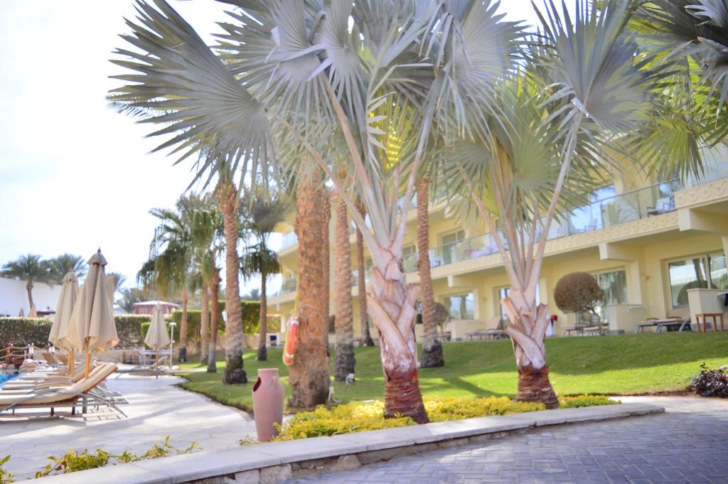 Oferty hotelowe last minute Xperience Sea Breeze Resort Szarm el-Szejk Egipt