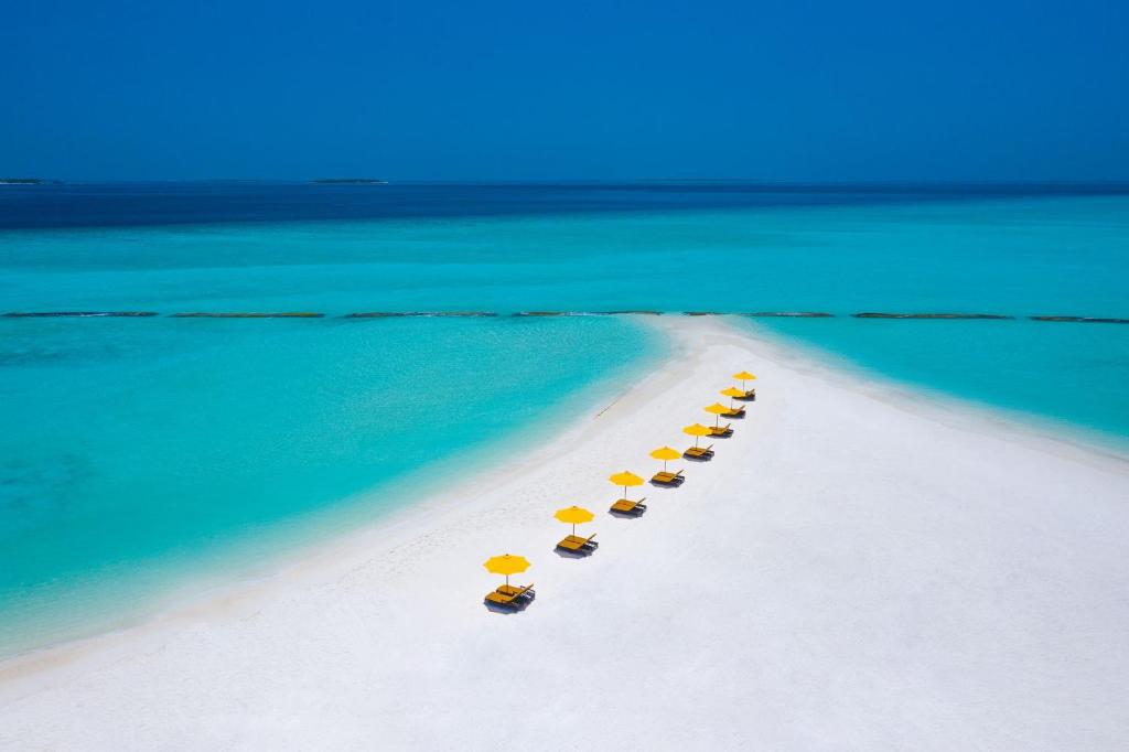 Отель, Мальдивы, Баа Атолл, Dhigufaru Island Resort