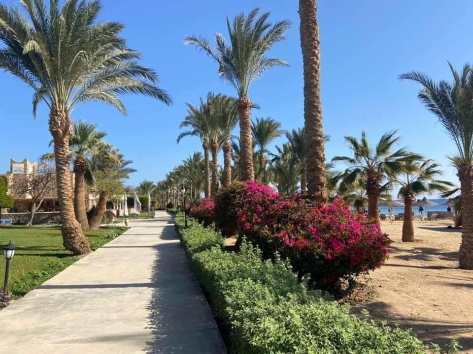 Brayka Bay Resort, Египет