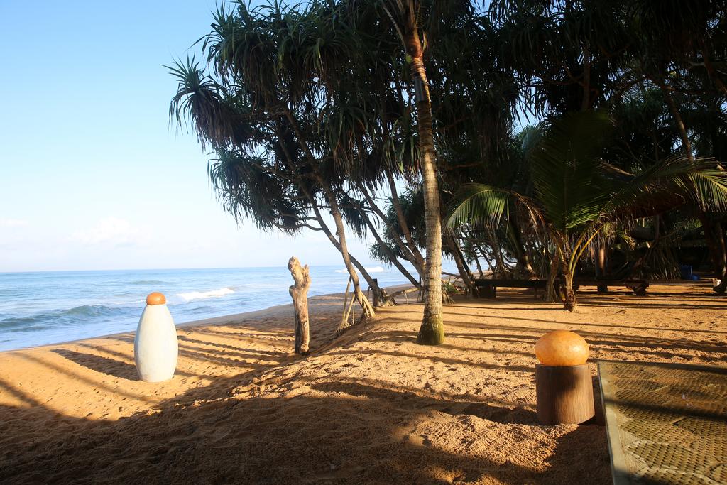 Туры в отель Thejan Beach Cabanas Индурува Шри-Ланка