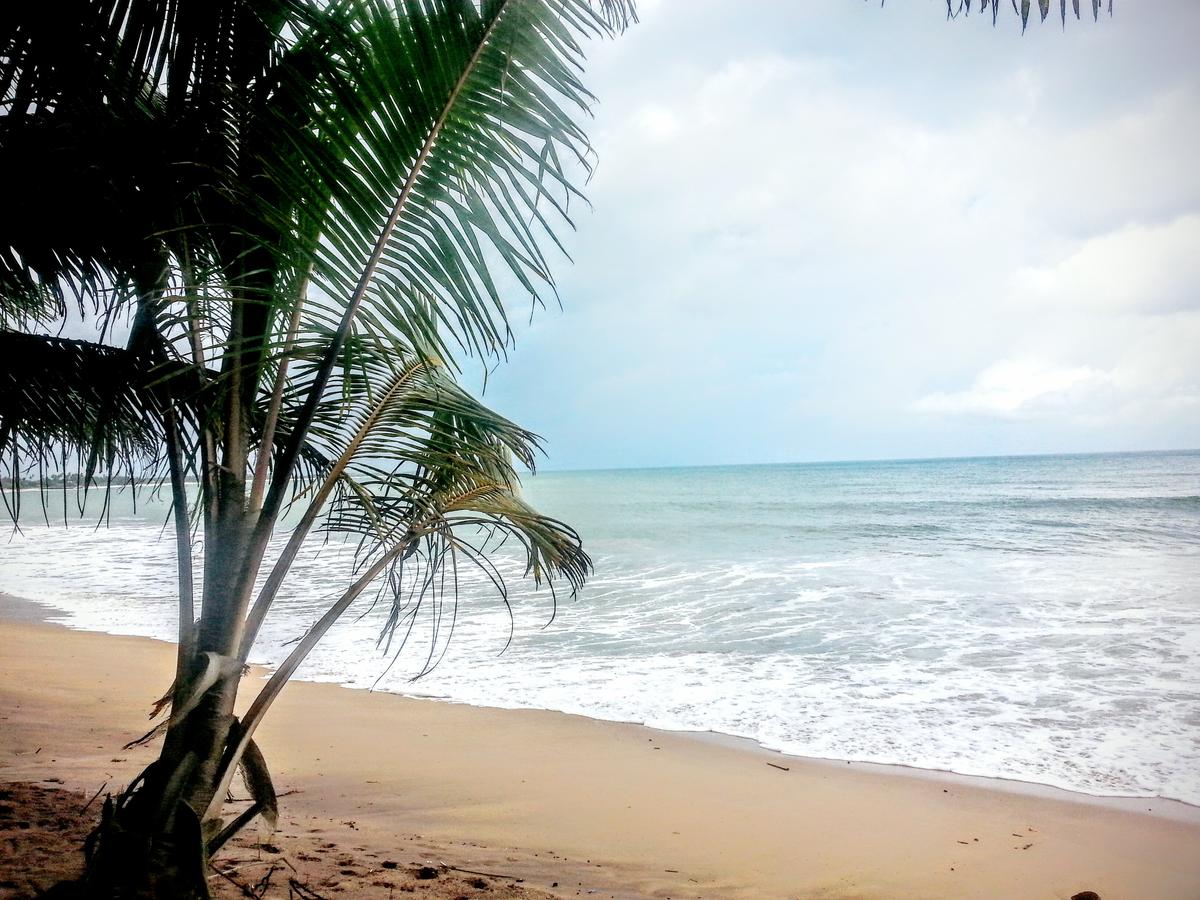 Гарячі тури в готель Frangipani Beach Villa Тангалле Шрі-Ланка