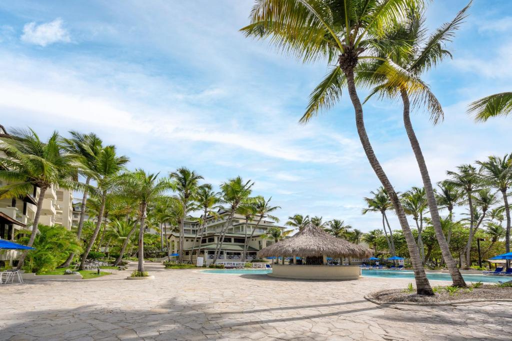 Coral Costa Caribe Resort, фотографии туристов