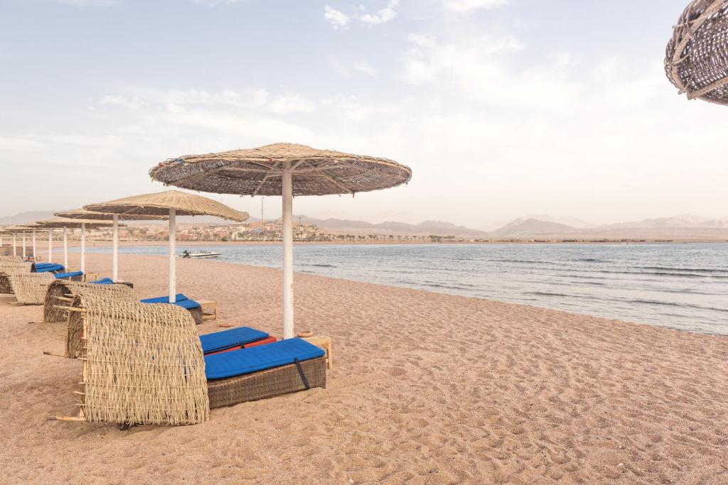 Hot tours in Hotel Barcelo Tiran Sharm Sharm el-Sheikh