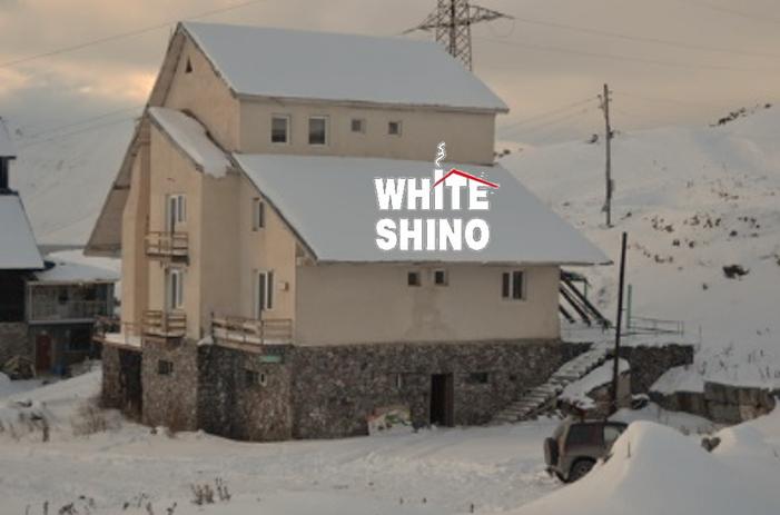 White Shino, 2, фотографии