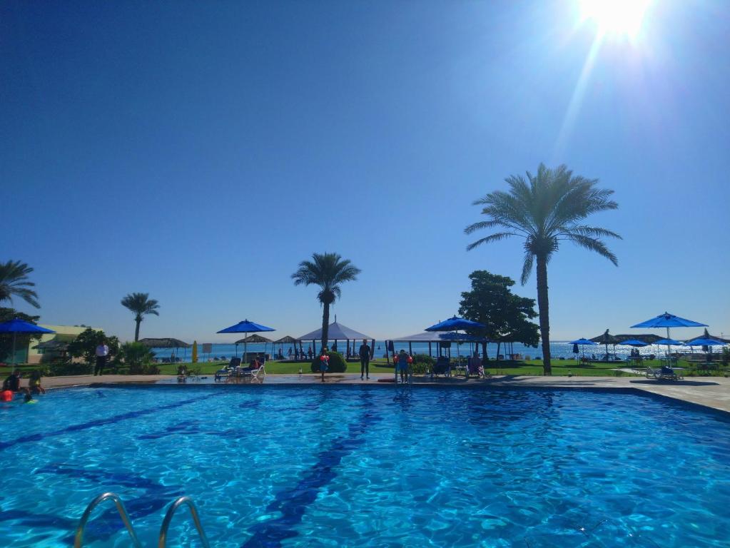 Flamingo Beach Resort, Умм Аль Кувейн, ОАЭ, фотографии туров