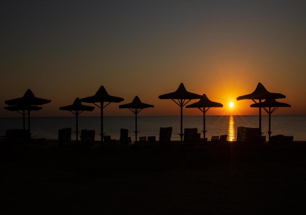 Deep Blue Beach Resort Egypt prices