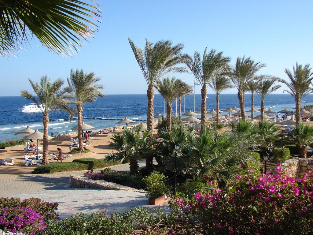 Queen Sharm Resort (ex. Vera Club Queen Sharm Beach), rooms