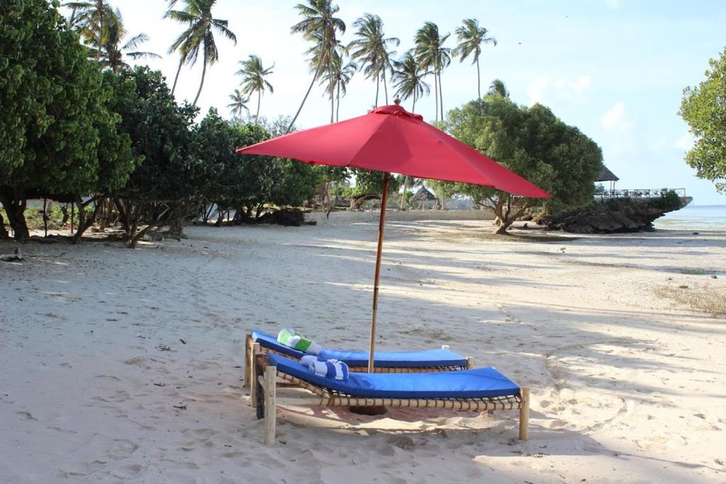 Coconut Tree Village Beach Resort, Уроа, фотографии туров