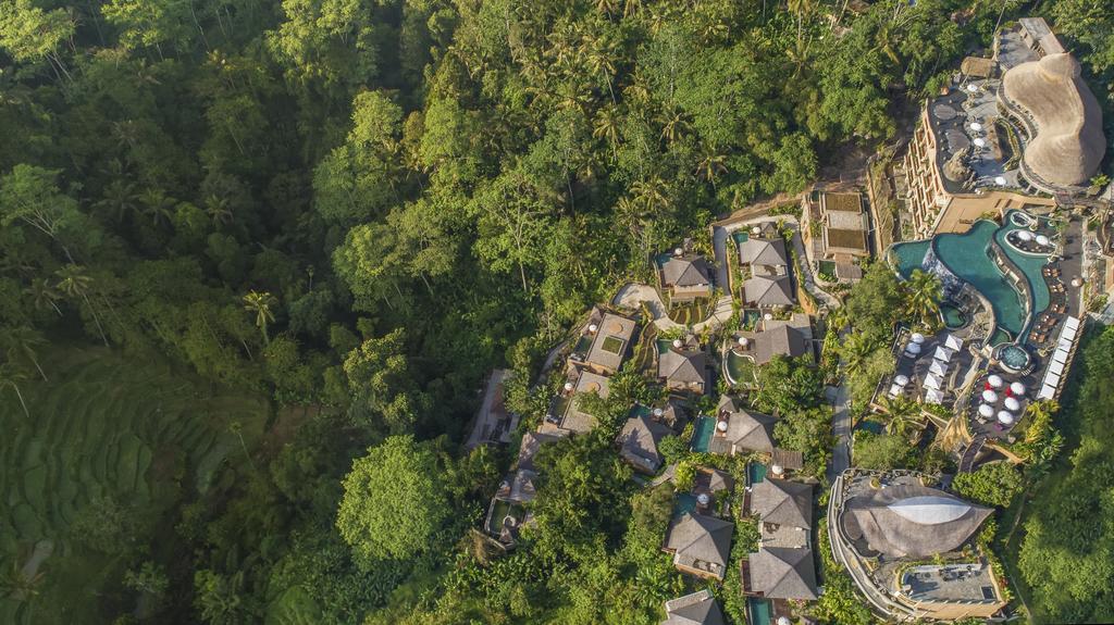 The Kayon Jungle Resort (Adults Only), номера