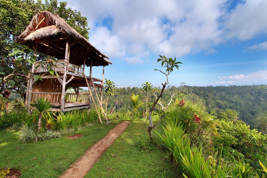 Отзывы туристов Nandini Bali Jungle & Spa Ubud