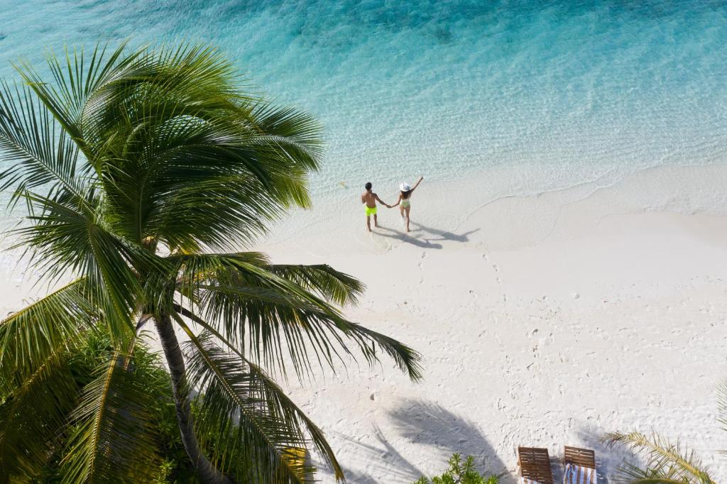 Туры в отель Lily Beach Resort & Spa Ари & Расду Атоллы Мальдивы