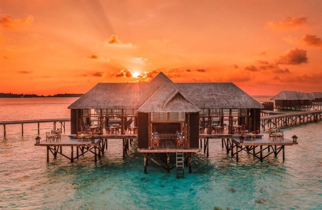 Hotel rest Conrad Maldives Rangali Ari & Razd Atoll Maldives