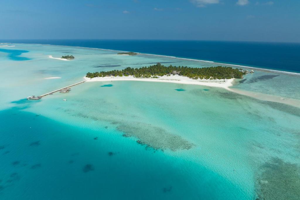 Отзывы туристов, Rihiveli Maldives Resort (ex. Rihiveli the Dream)