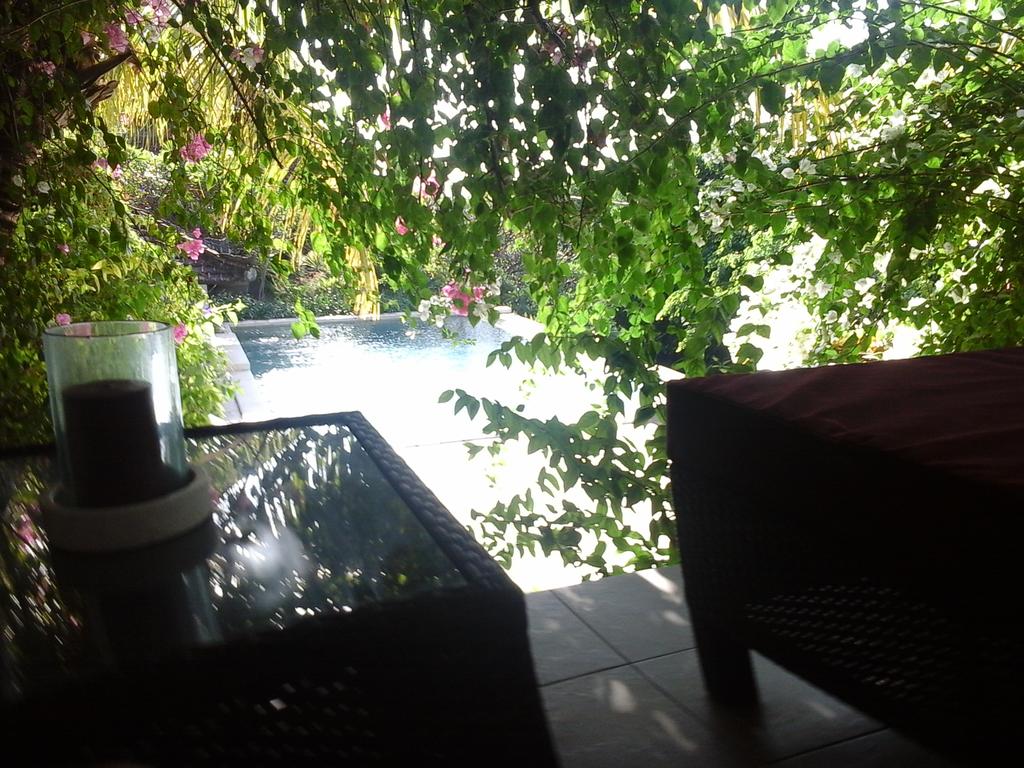 Отзывы про отдых в отеле, Baliku Dive Resort
