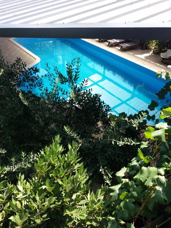 Oferty hotelowe last minute Sveti Kriz Hotel Trogir