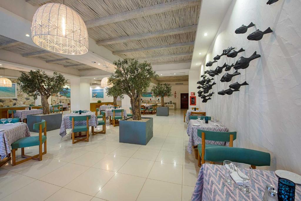 Grand Sirenis Punta Cana Resort, Uvero Alto ceny