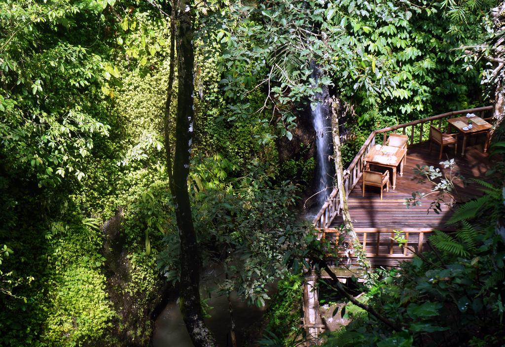 Tours to the hotel The Kayon Ubud