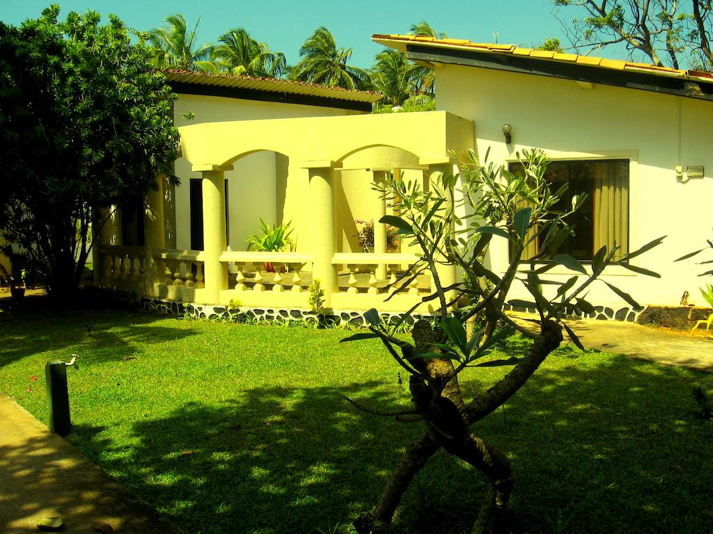 Горящие туры в отель The Cosy Beach Маравила Шри-Ланка