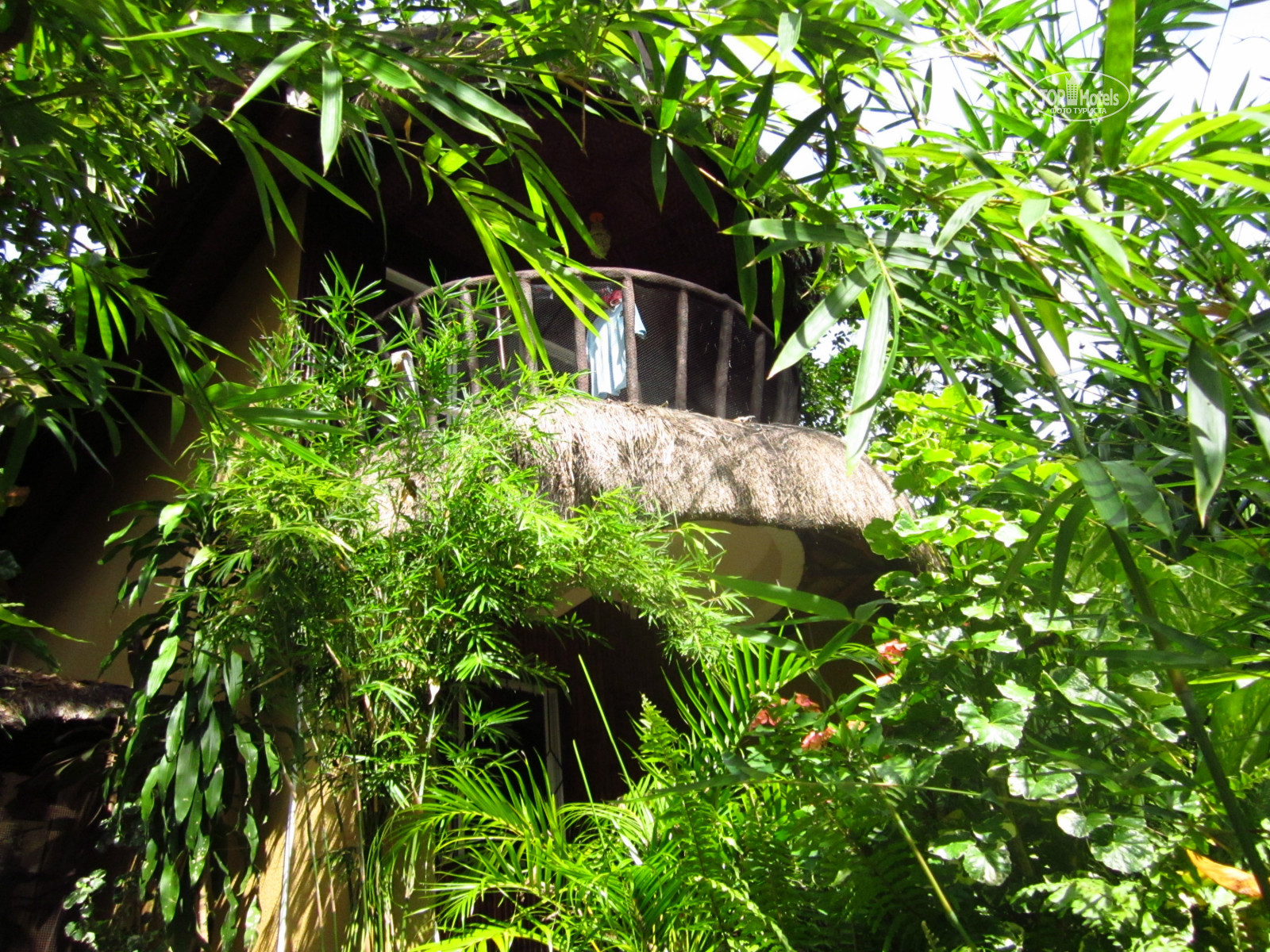 Orchid Resort, Филиппины, Боракай (остров), туры, фото и отзывы