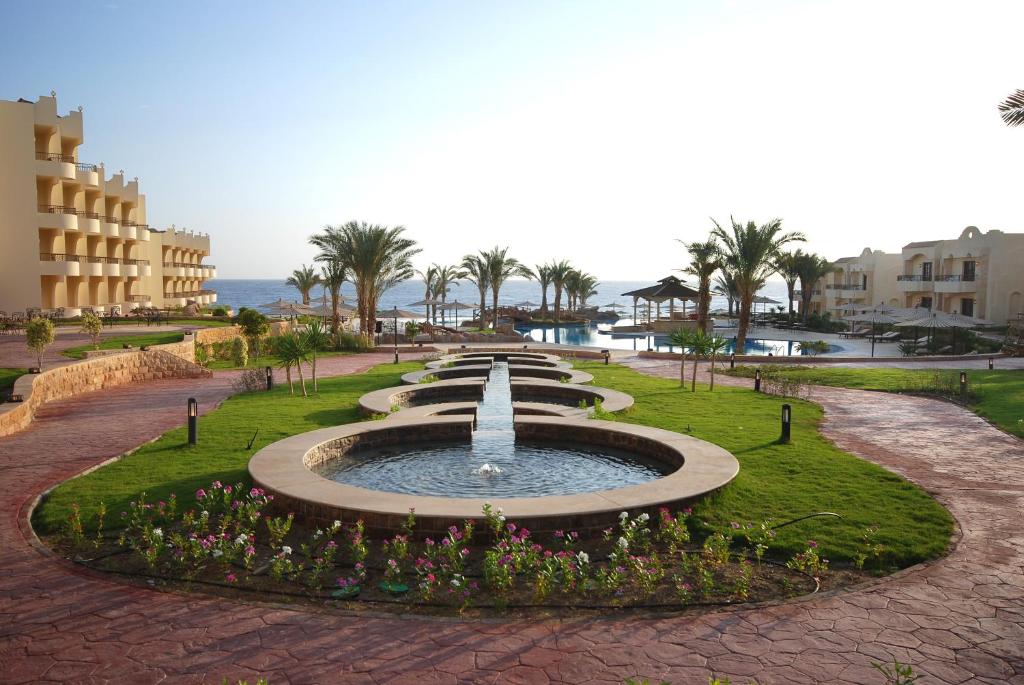 Coral Hills Resort Marsa Alam Египет цены
