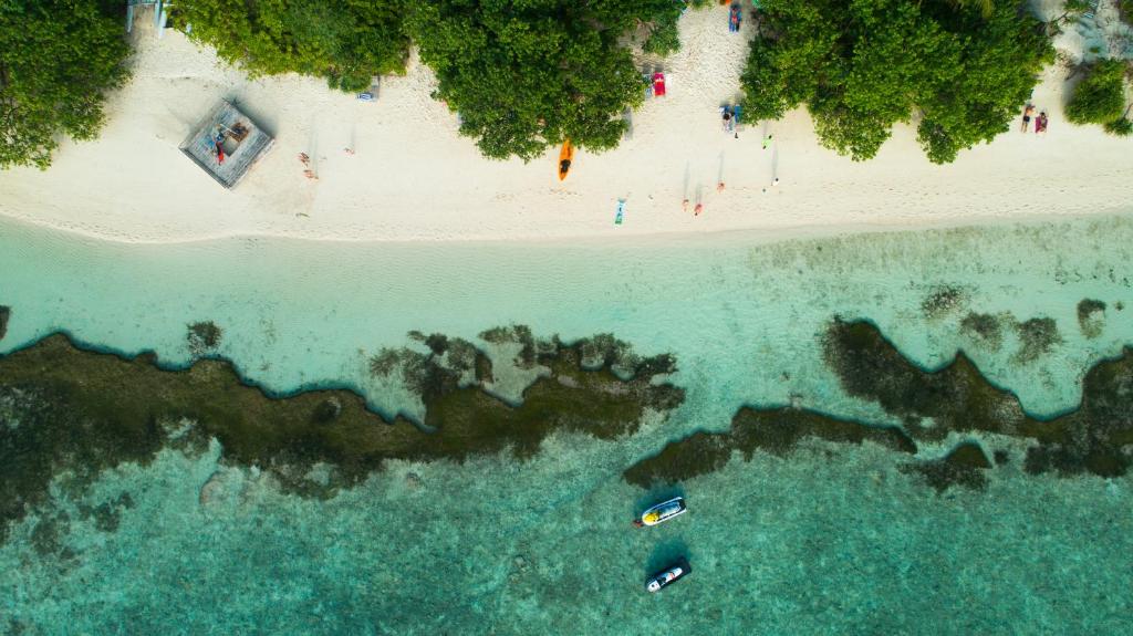 Tranquila Maldives, Северный Ари Атолл, фотографии туров