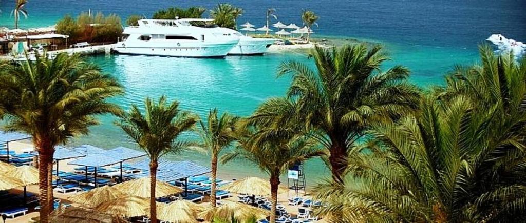 Відпочинок в готелі Zya Regina Resort and Aquapark Хургада Єгипет