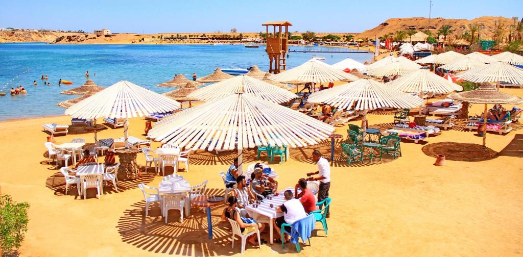Wakacje hotelowe Turquoise Beach Hotel Szarm el-Szejk