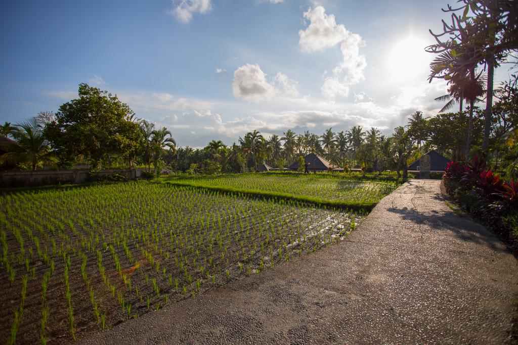 Agung Raka, Танжунг-Беноа, фотографии туров