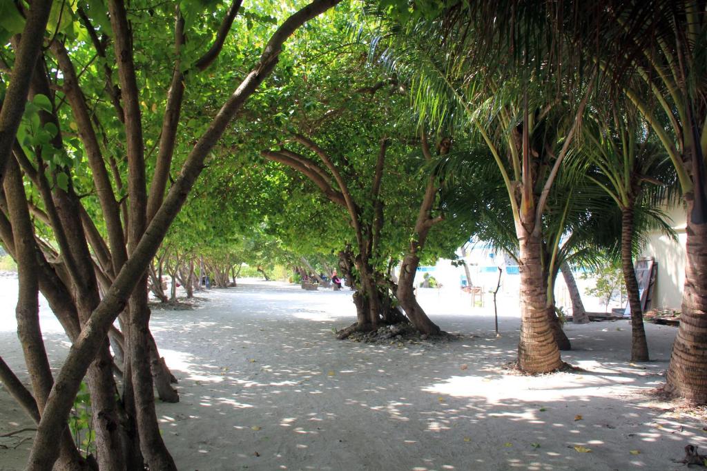 Rip Tide Vacation Inn, Южный Мале Атолл, Мальдивы, фотографии туров